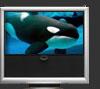 avsecondlife - immagine modello televiori usato Bang e Olufsen